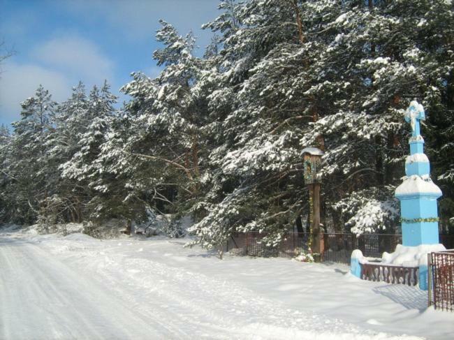 Wypoczynek U Piotra Villa Susiec Buitenkant foto